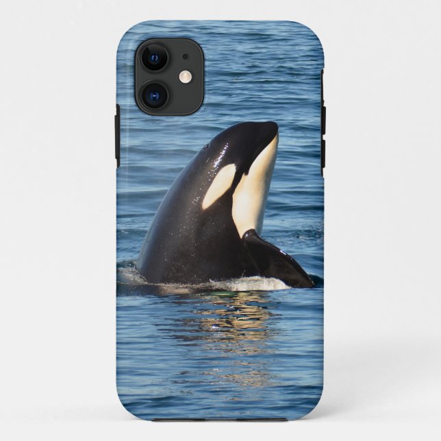 K27 Orca Spyhop iPhone 5/5S Case (Back)