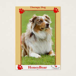 K9 comforters therapy dog