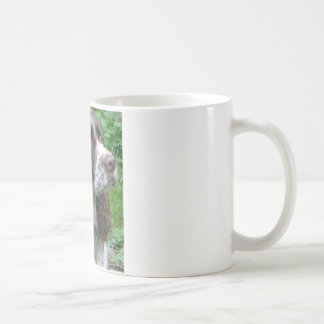 "K.D." mug