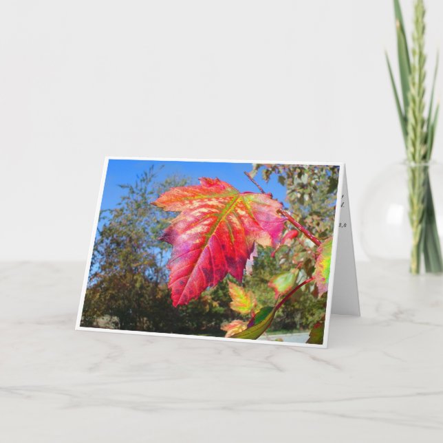 K&K - Sympathy Card (Front)