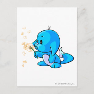 Kacheek Blue Postcard