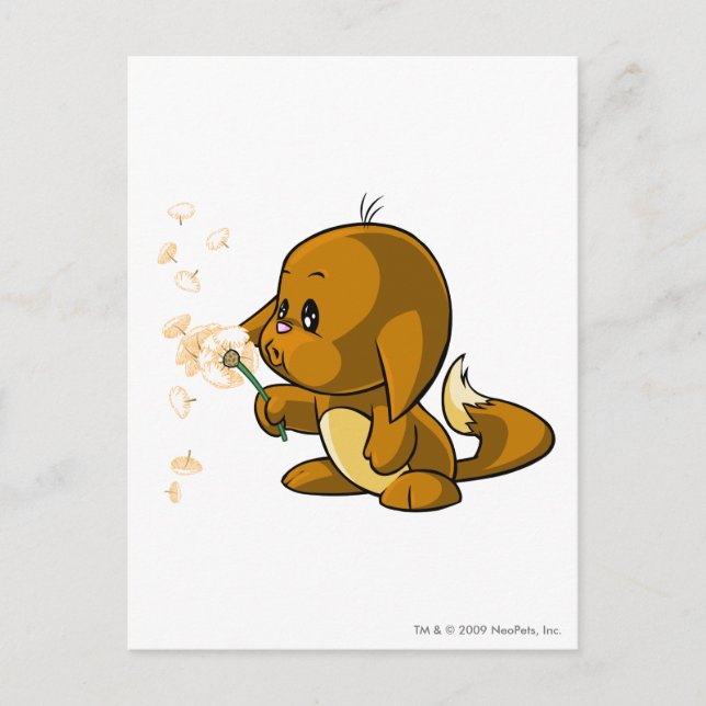Kacheek Brown Postcard (Front)