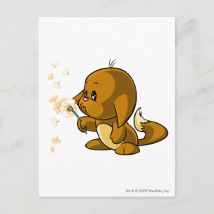 Kacheek Brown Postcard