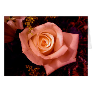 Kacie's Rose