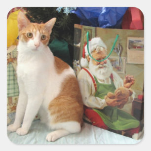 Kagan's Christmas Gifts - Cat / Kitten Stickers