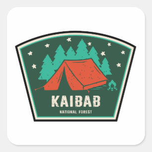 Kaibab National Forest Arizona Camping Square Sticker