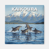 Kaikoura New Zealand Dolphins Travel
