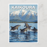 Kaikoura New Zealand Dolphins Travel