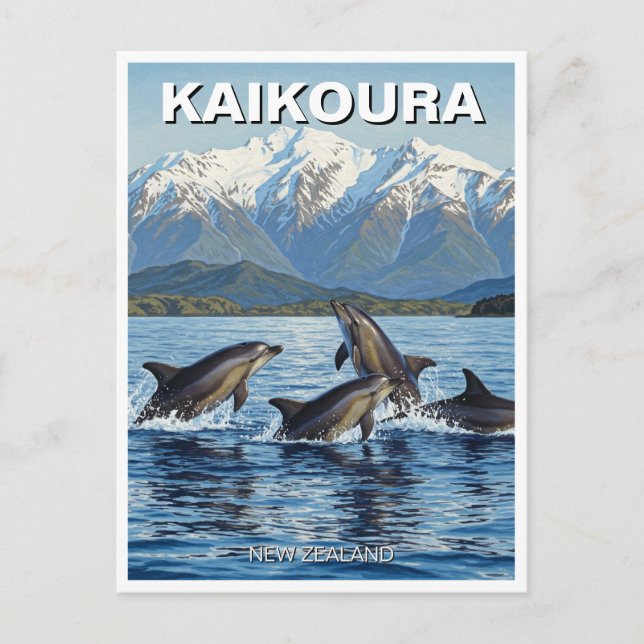 Kaikoura New Zealand Dolphins Travel Postcard (Front)
