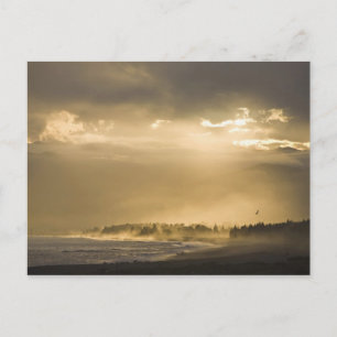 Kaikoura, New Zealand. Kaikoura is known for Postcard