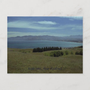 Kaikoura, New Zealand Postcard