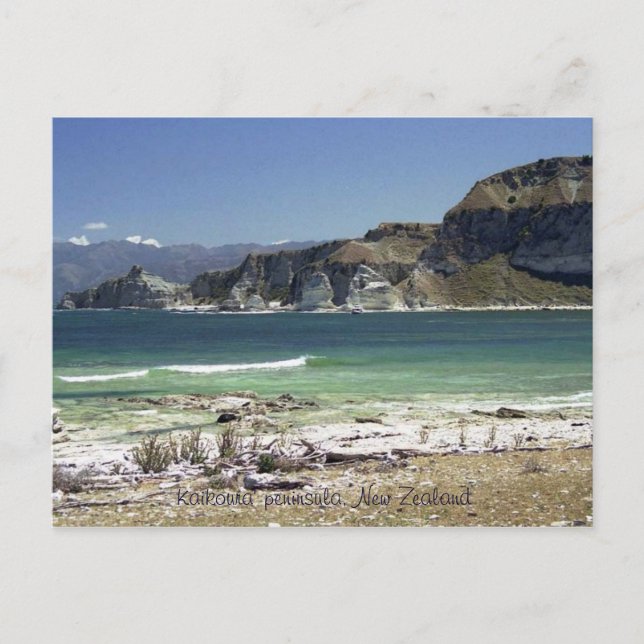 Kaikoura' peninsula, New Zealand Postcard (Front)