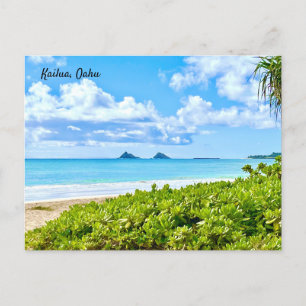 Kailua, Oahu Postcard