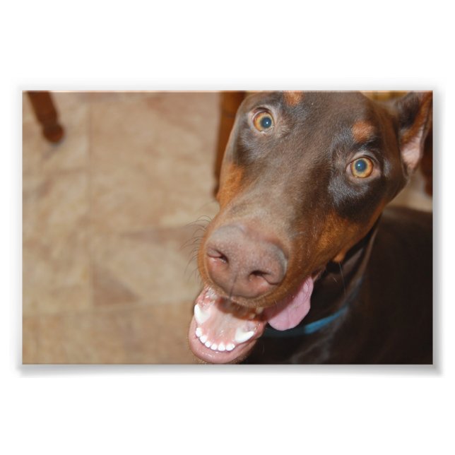 Kaiser Photo Print (Front)