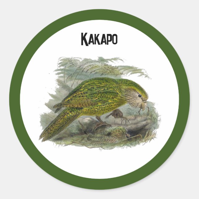 Kakapo Green Owl Parrot, Rare Bird Illustration Classic Round Sticker (Front)