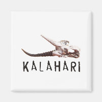 Kalahari desert in Africa: Dead antelope skull