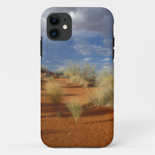 Kalahari Desert Scene, Kgalagadi Transfrontier 2 iPhone 11 Case