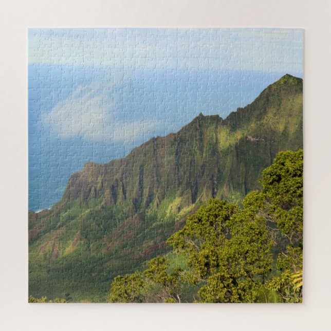 Kalalalu Overlook - Kauai, Hawaii - 20x20 - 676 pc Jigsaw Puzzle (Vertical)
