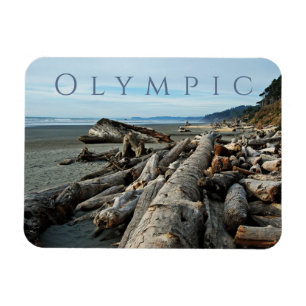 Kalaloch Beach Driftwood, Olympic National Park Magnet
