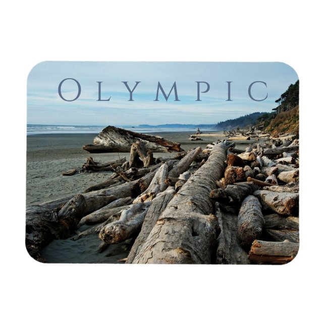 Kalaloch Beach Driftwood, Olympic National Park Magnet (Horizontal)