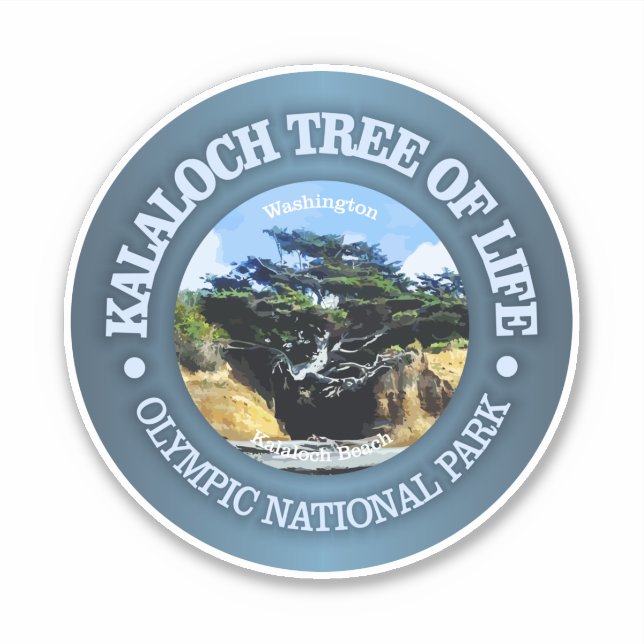 Kalaloch Tree of Life (Front)