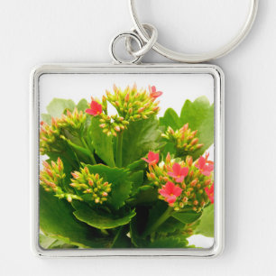Kalanchoe blossfeldiana key ring