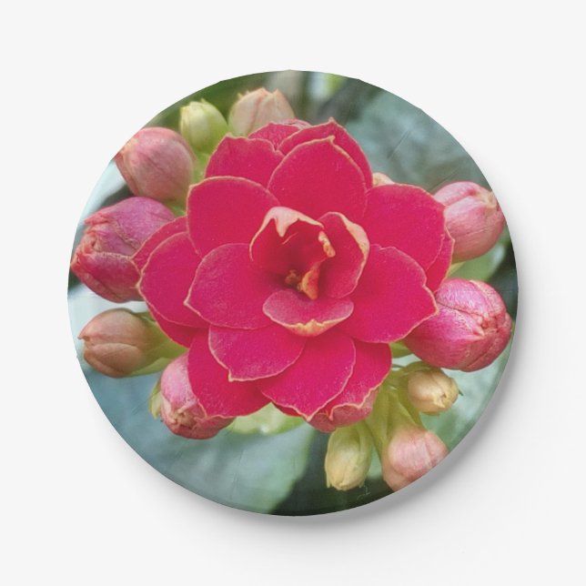 Kalanchoe Flower Paper Plate (Front)