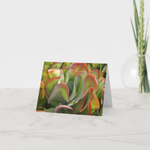 Kalanchoe notecard