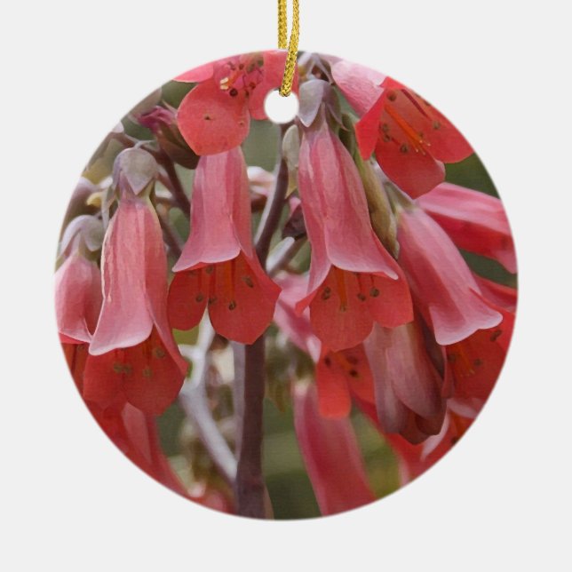 Kalanchoe Tubiflora Ceramic Tree Decoration (Front)