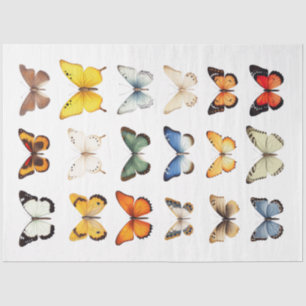 Kaleidoscope of Butterflies 1 Decoupage Paper