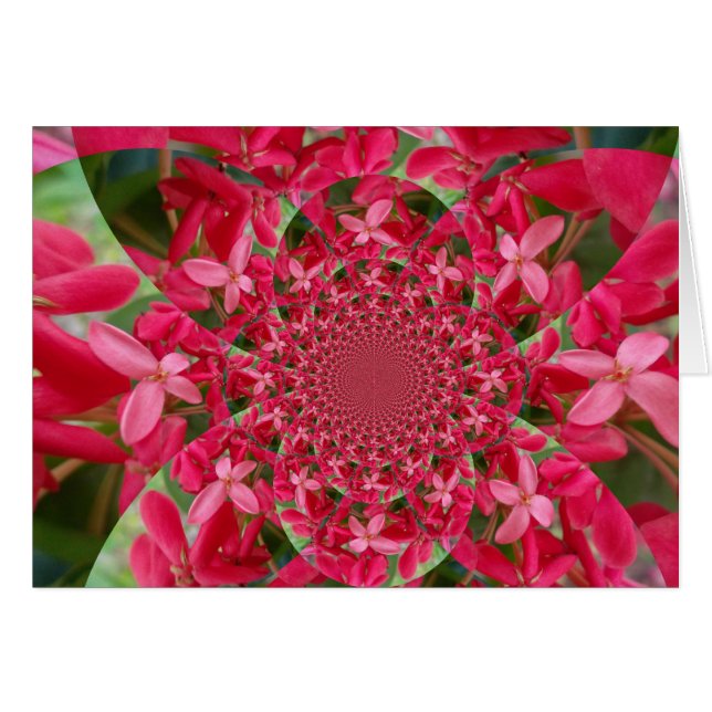 Kaleidoscope of Crimson: Blood Milkweed Flower Art (Front Horizontal)