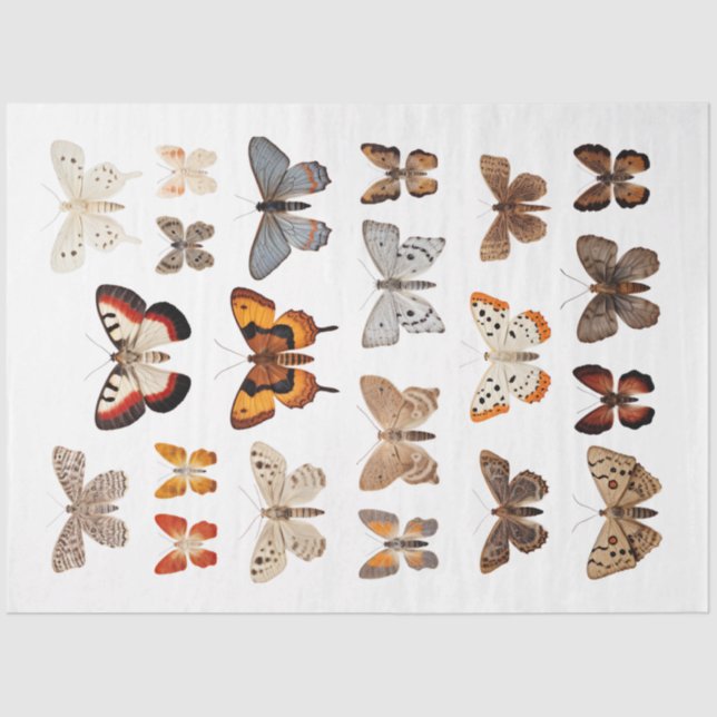 Kaleidoscope of Moths 1 Decoupage Paper (Front)