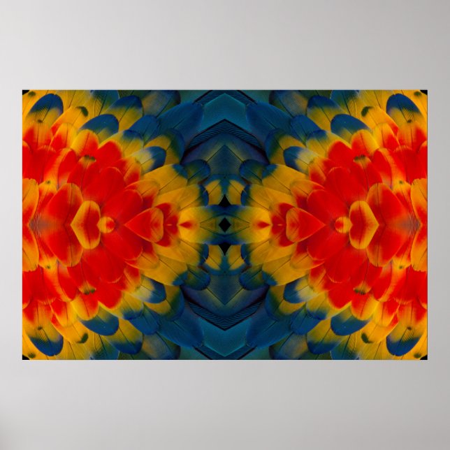 Kaleidoscope Scarlet Macaw design Poster (Front)