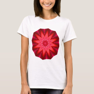 Kaleidoscopic 260614(3) T-Shirt
