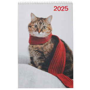 Kalender 2025 Cat Lover Katzen Calendar