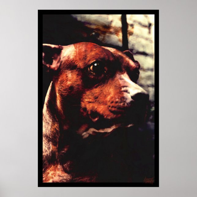 Kali Tree Poster (Front)