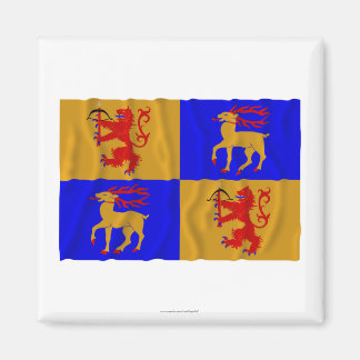 Kalmar län waving flag magnet