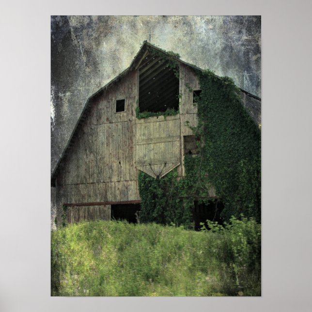 Kalona Barn and Ivy Poster (Front)