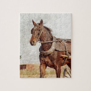 Kalona, Iowa Amish Horse and Buggy Jigsaw Puzzle