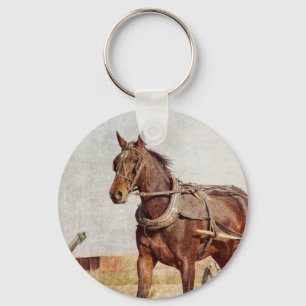Kalona, Iowa Amish Horse and Buggy Key Ring
