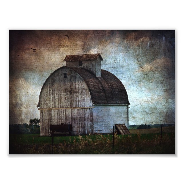 Kalona, Iowa White Barn With Birds Photo Print (Front)