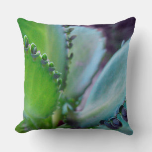 Kalonchoe Colours Cushion