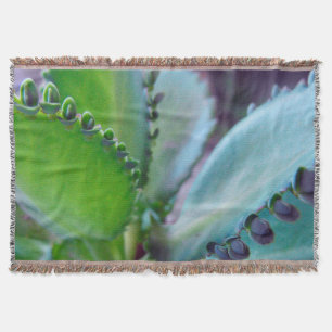 Kalonchoe Colours Throw Blanket