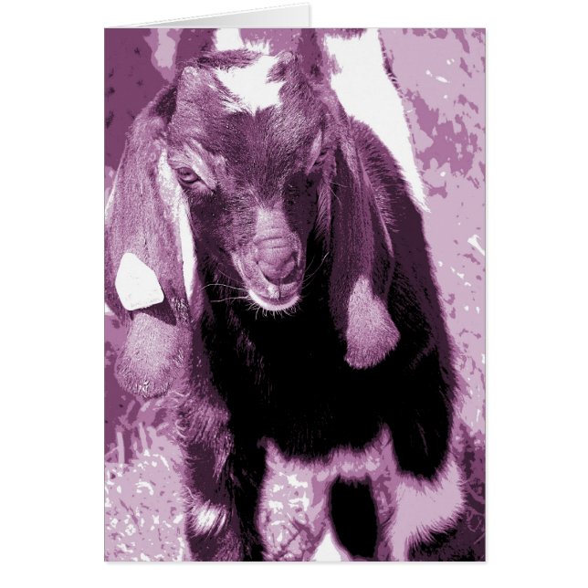 Kalvin in Purple (Front)