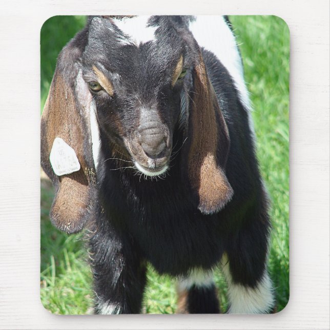 Kalvin Mouse Pad (Front)