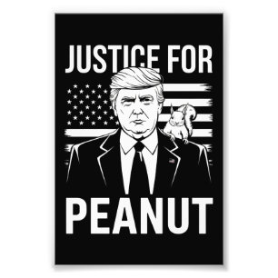 Kamala Trump 2024 Election I Didn't Vote For Him  Photo Print