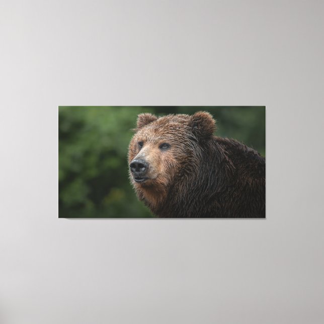 Kamchatka Brown Bear Canvas Print (Front)