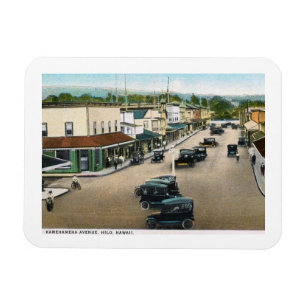 Kamehameha Ave., Hilo, Hawaii Vintage  Magnet