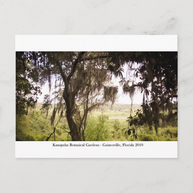 Kanapaha Gardens - Gainesville 009 Postcard (Front)