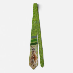 Kangaroo -1, tie